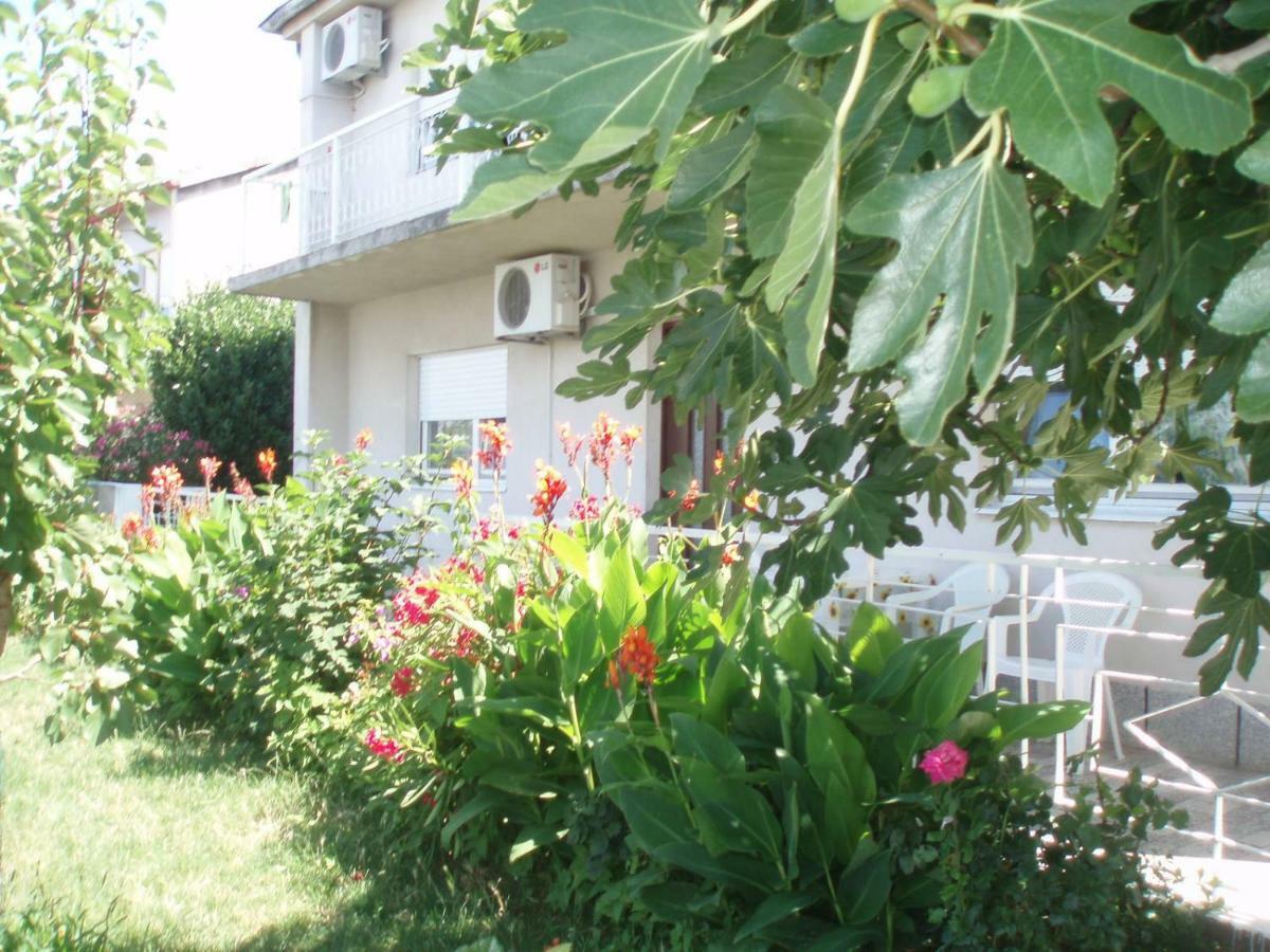Apartment Antonija เซนญ์ ภายนอก รูปภาพ